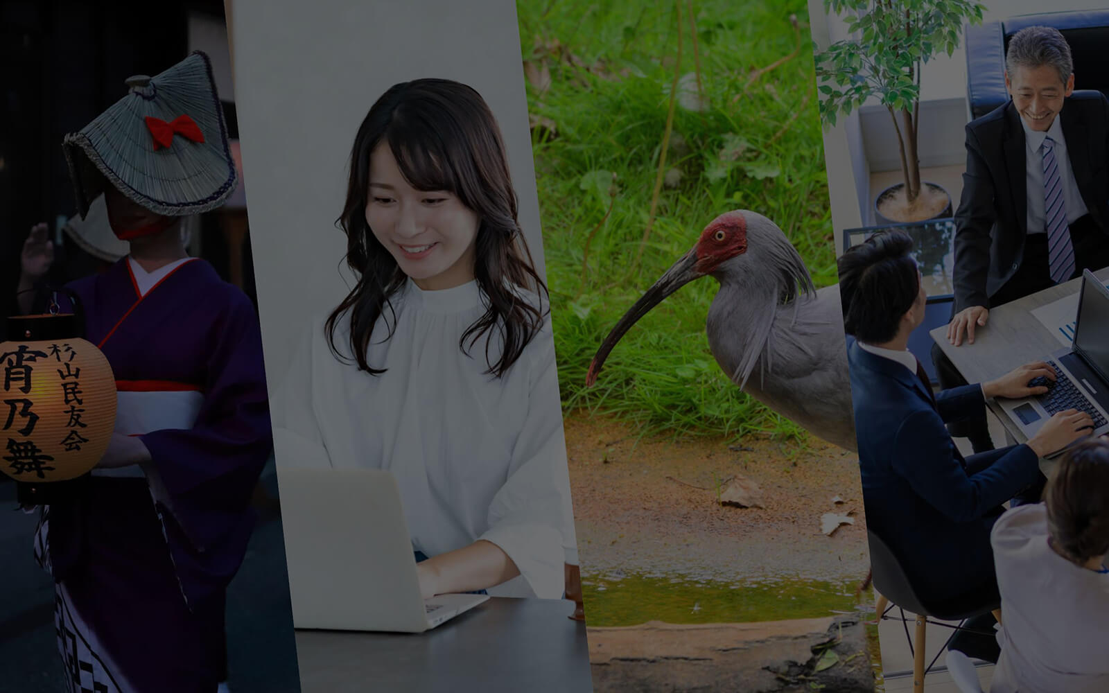 佐渡市のホームページ・Web制作会社｜taneCREATIVE佐渡本社・河原田本町オフィス
