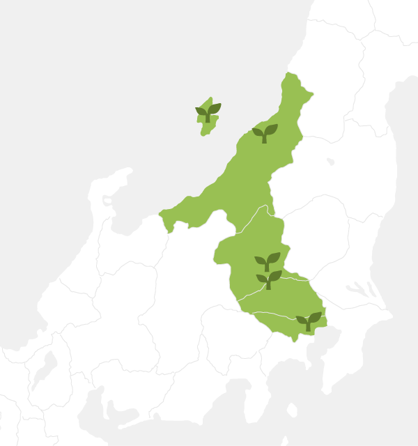 taneCREATIVE 拠点マップ